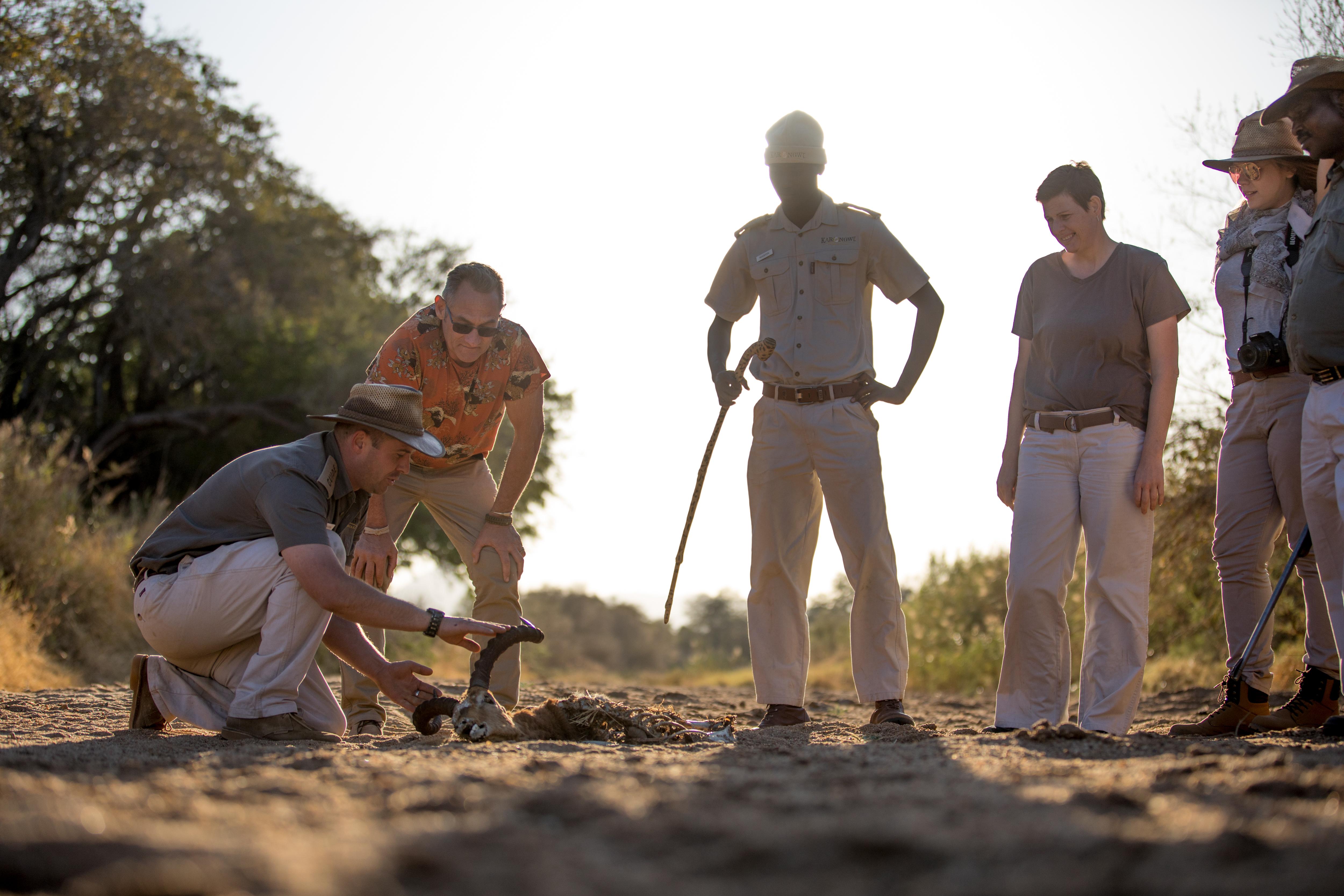 Shiduli Private Game Lodge Karongwe Game Reserve Exterior foto