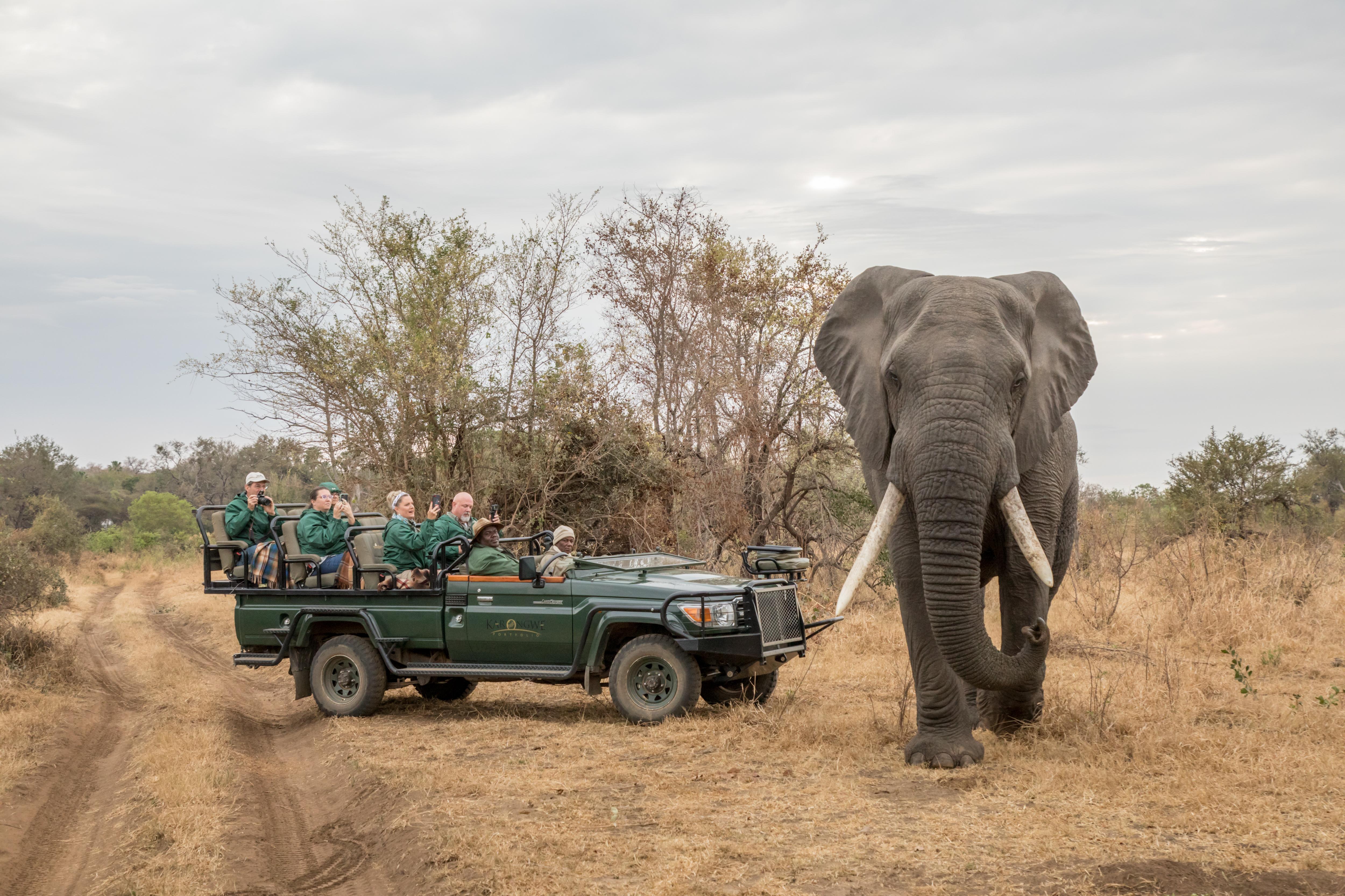 Shiduli Private Game Lodge Karongwe Game Reserve Exterior foto