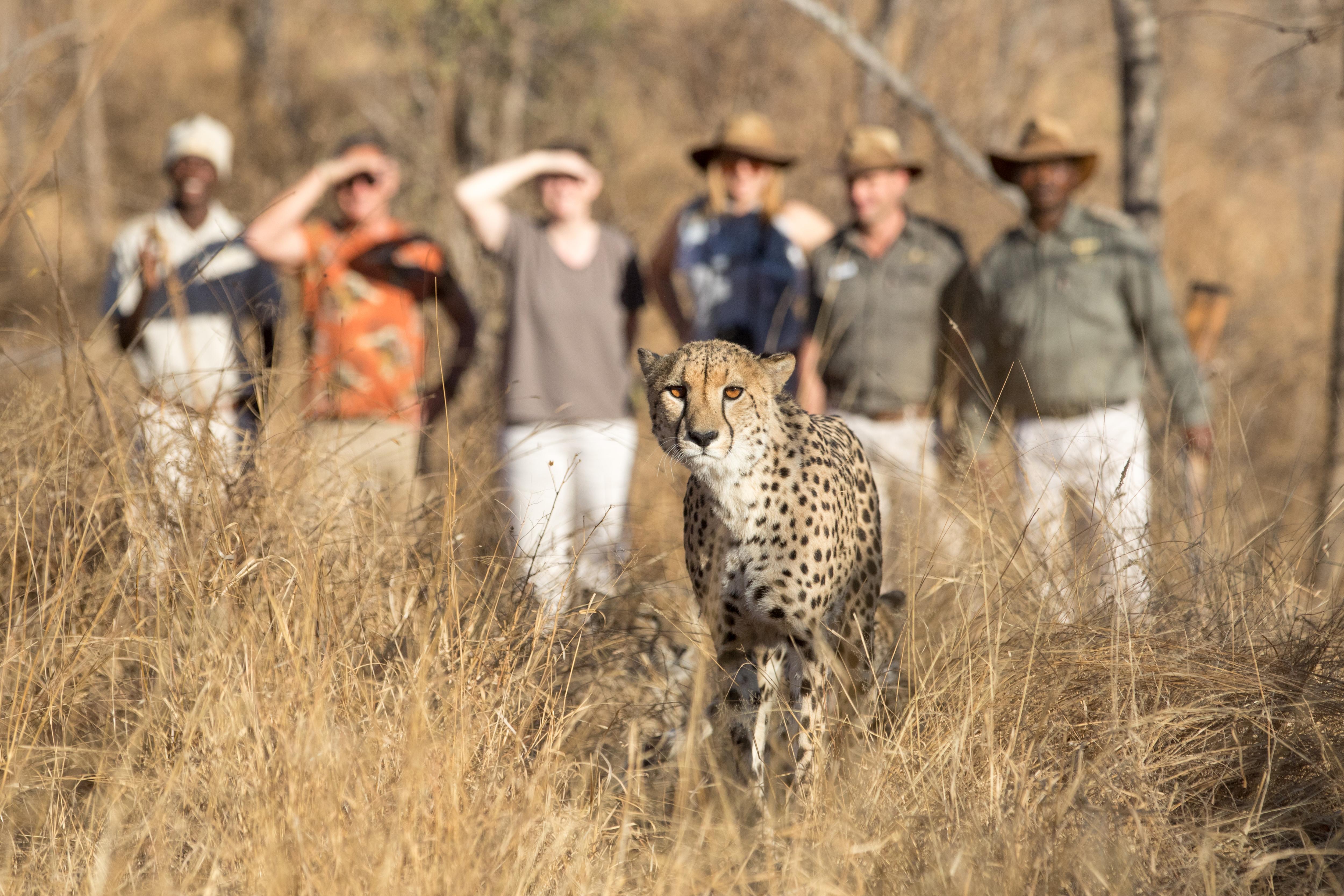 Shiduli Private Game Lodge Karongwe Game Reserve Exterior foto