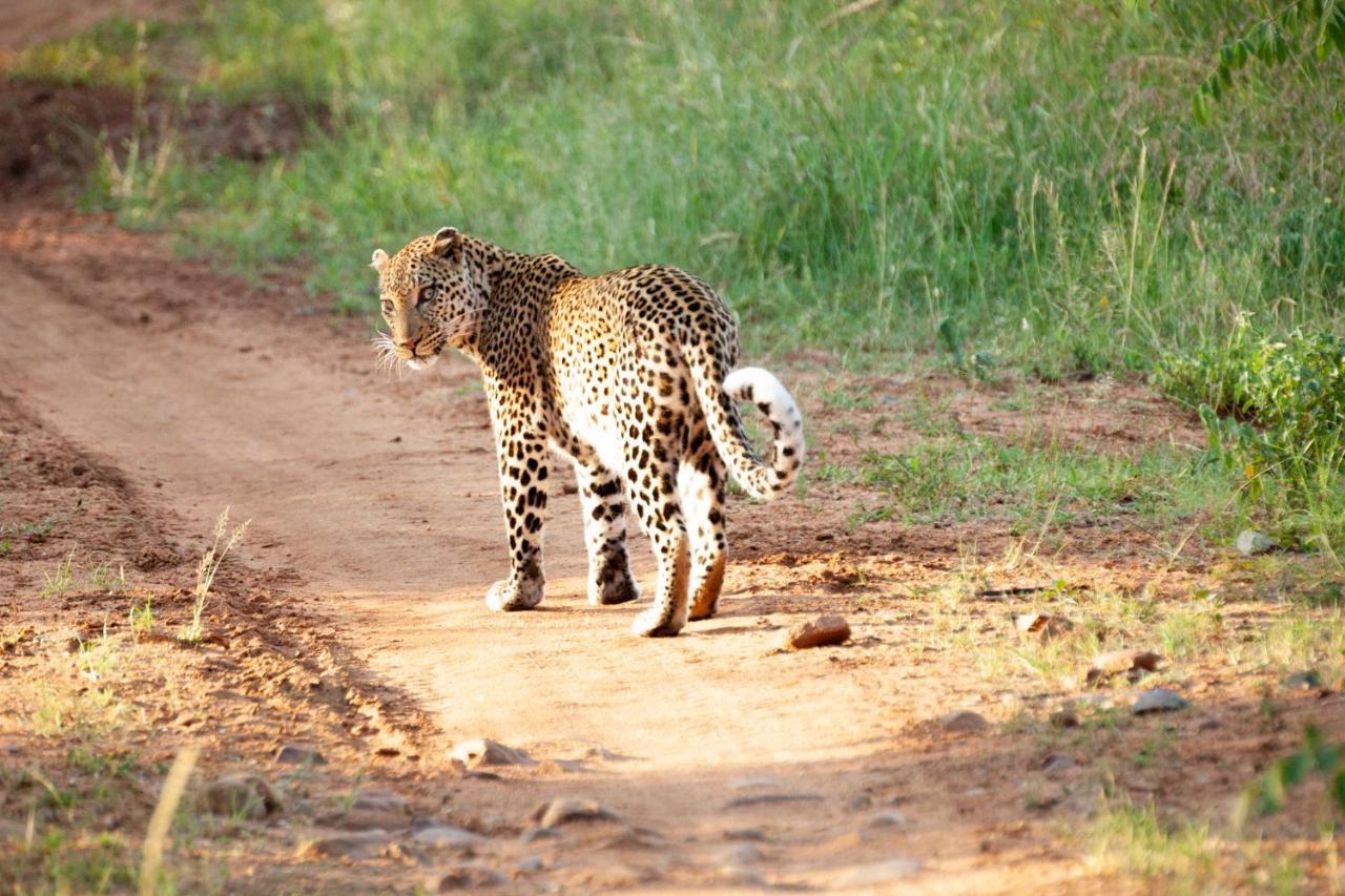 Shiduli Private Game Lodge Karongwe Game Reserve Exterior foto