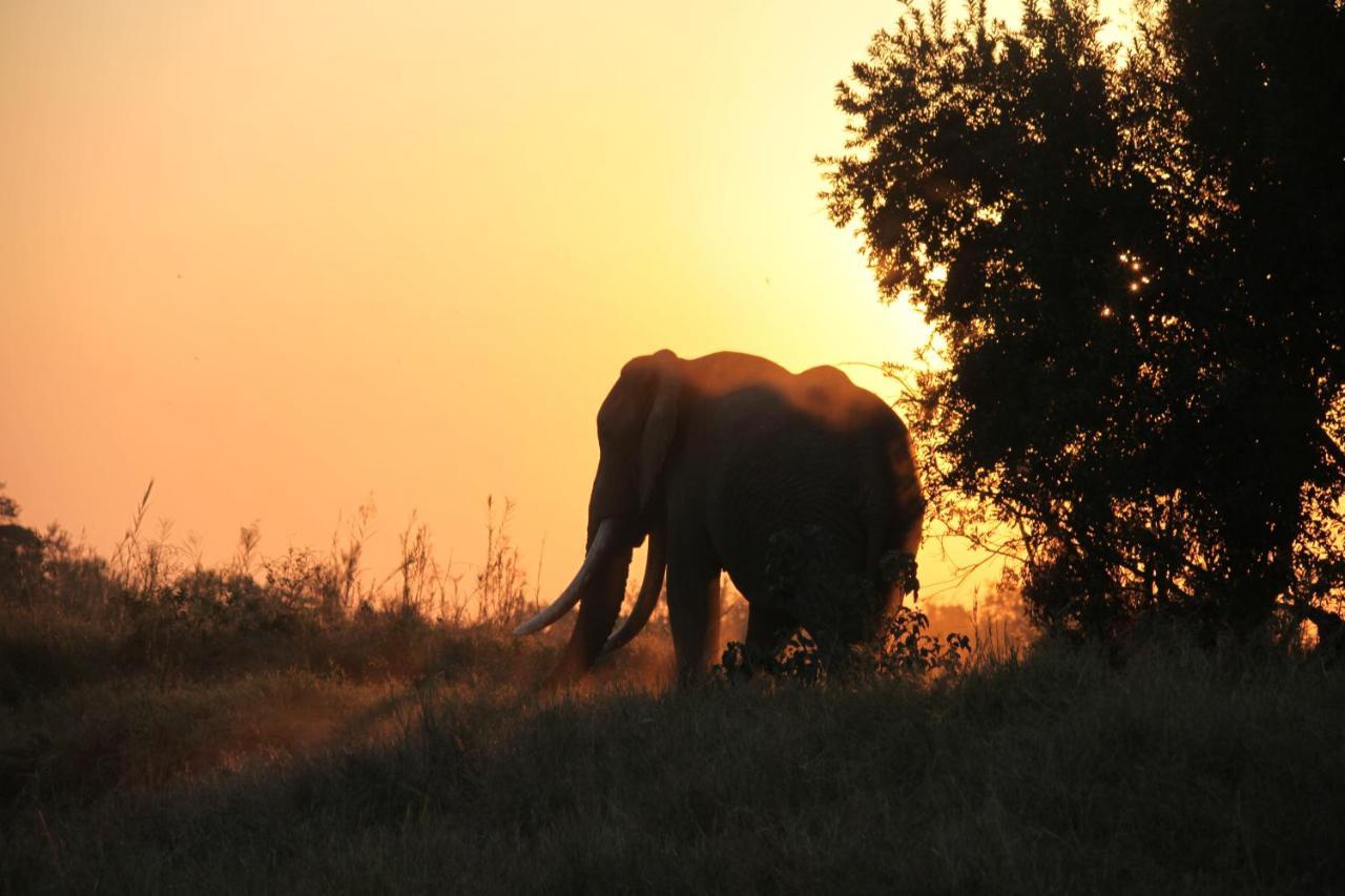 Shiduli Private Game Lodge Karongwe Game Reserve Exterior foto