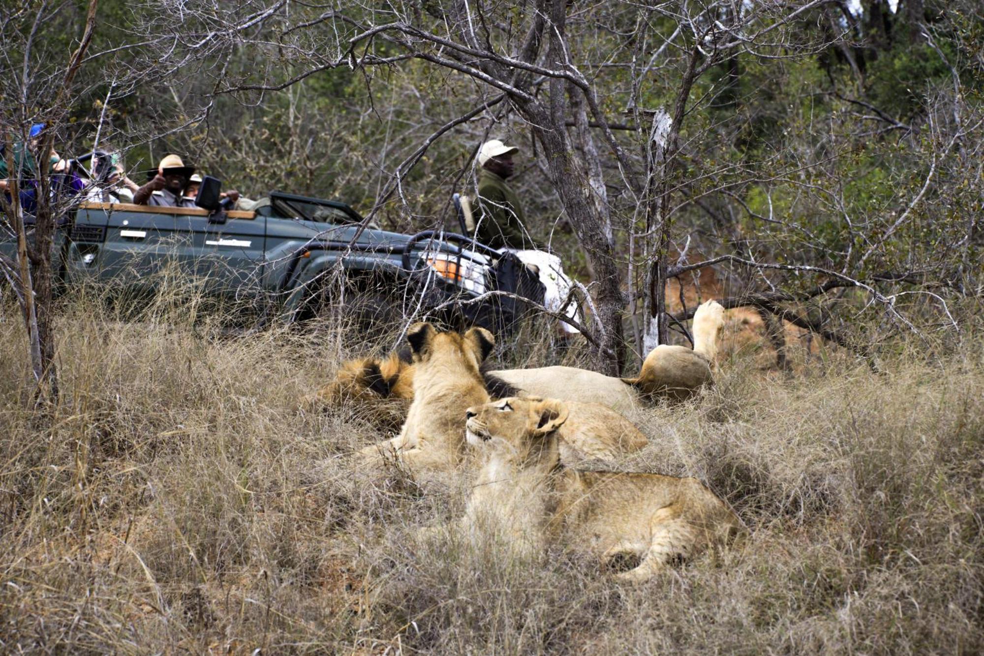 Shiduli Private Game Lodge Karongwe Game Reserve Exterior foto